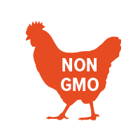 Ramen_chicken Ramen Chicken